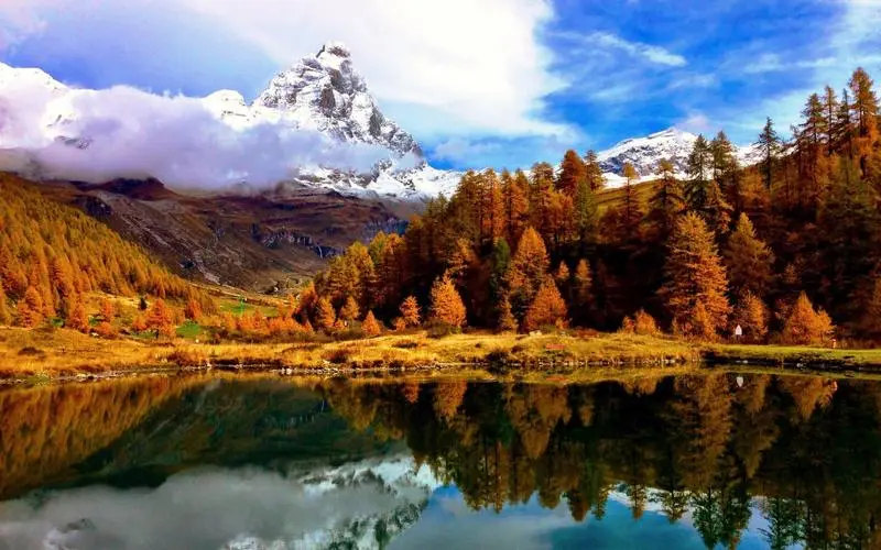 网络化创新智能